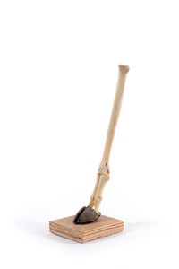 Image description is not available for 2014.3.1